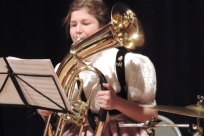 Orkiestra Dęta Goleszów Band